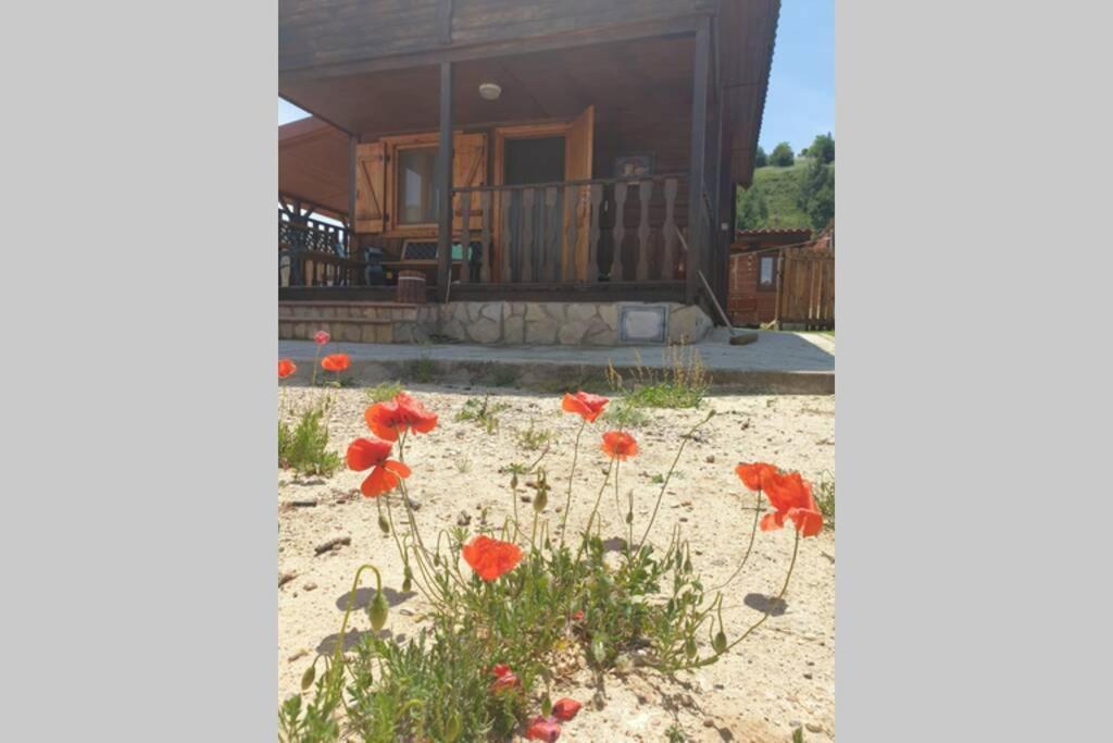 Cabana De Madera Especial Y Acogedora Cardenete المظهر الخارجي الصورة