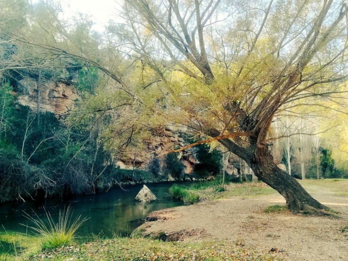 Cabana De Madera Especial Y Acogedora Cardenete المظهر الخارجي الصورة