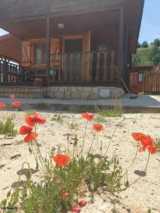Cabana De Madera Especial Y Acogedora Cardenete المظهر الخارجي الصورة
